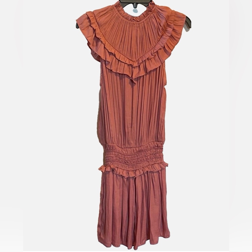 DO+BE Rust Ruffle Pleated Mini Dress - Picture 7 of 12